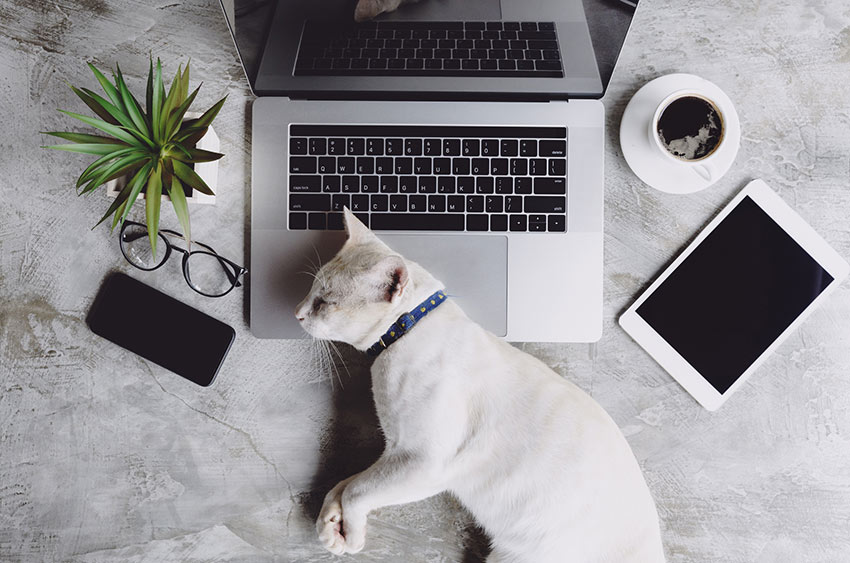 Setting boundaries when working from home